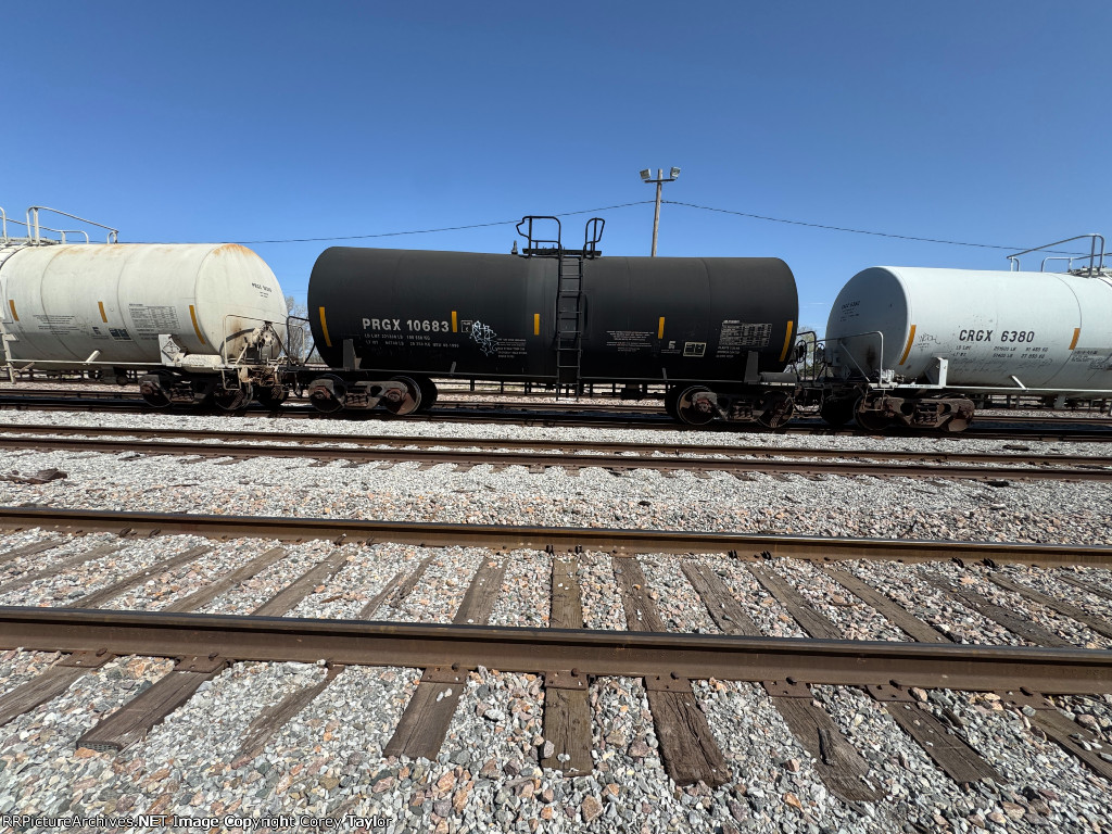 PRGX 10683